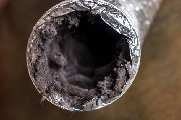 Best Emergency Air Duct Cleaning  in Hailey, ID