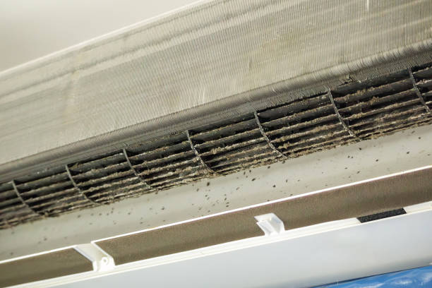 Best Affordable Air Duct Cleaning  in Hailey, ID