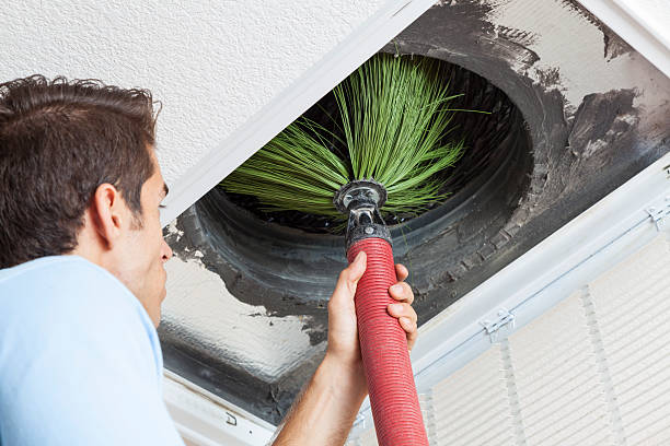 Best Air Duct Sanitizing Services  in Hailey, ID